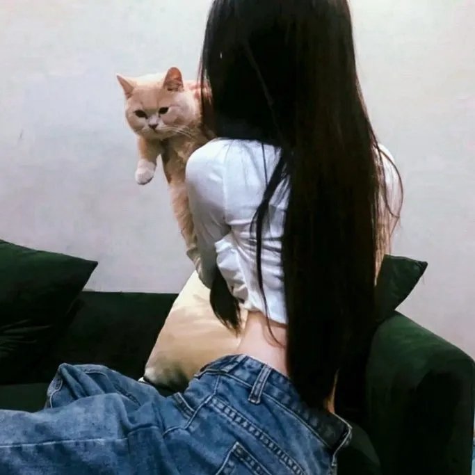 完美的人